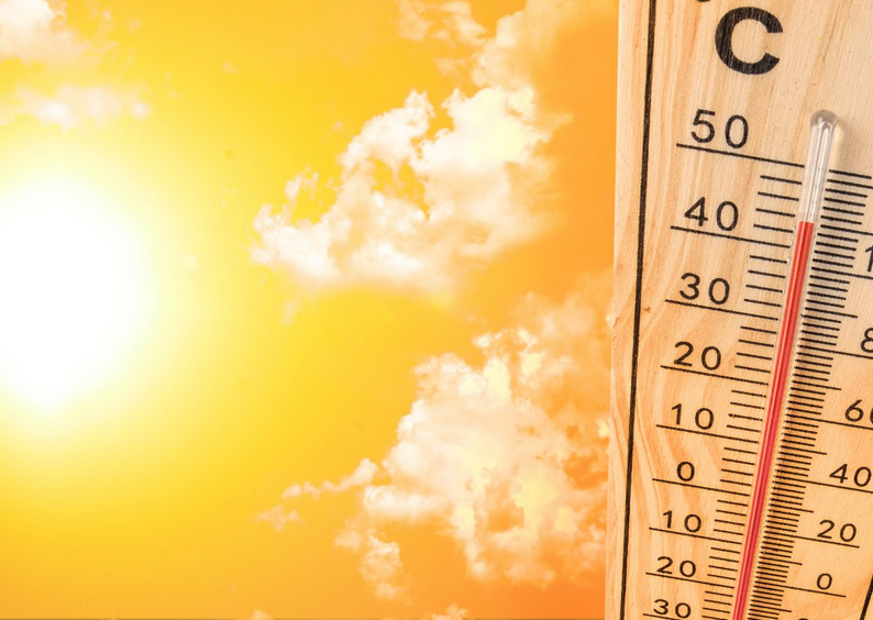 El mapa suat de la geografia humana.