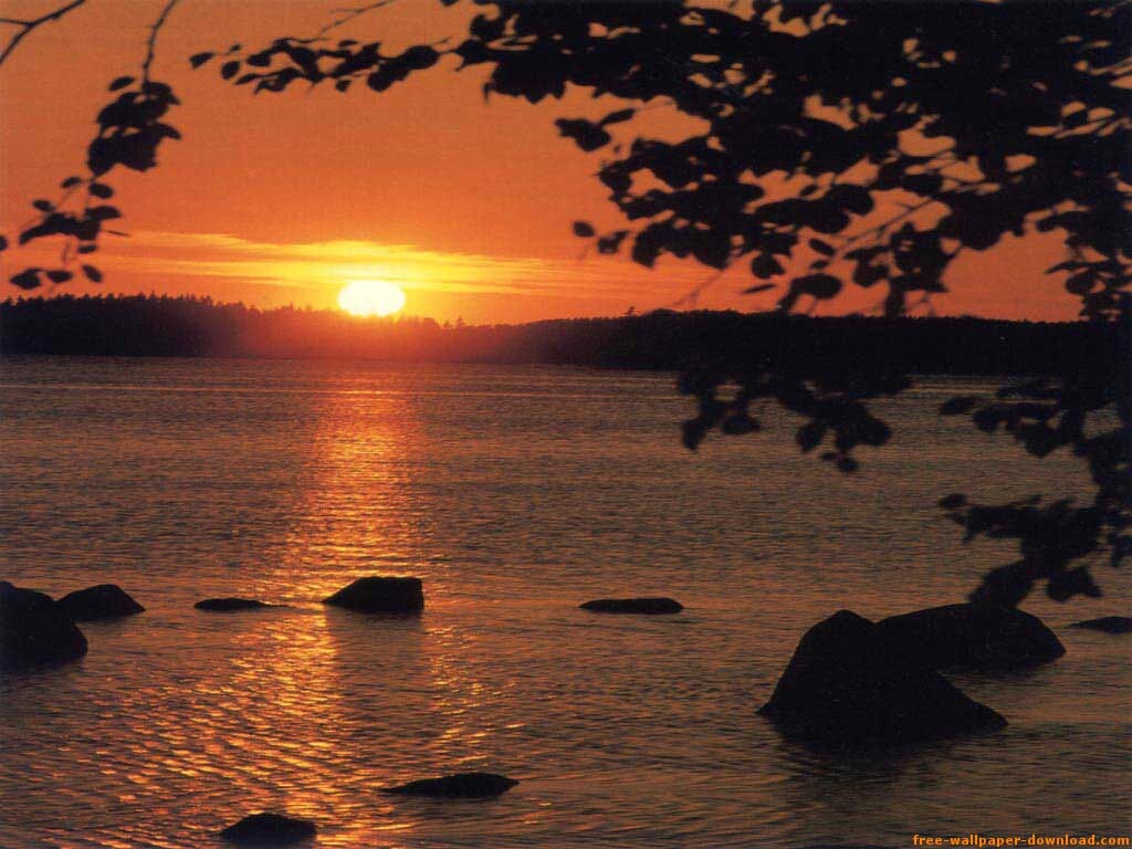 A l'estiu tota paparra viu.